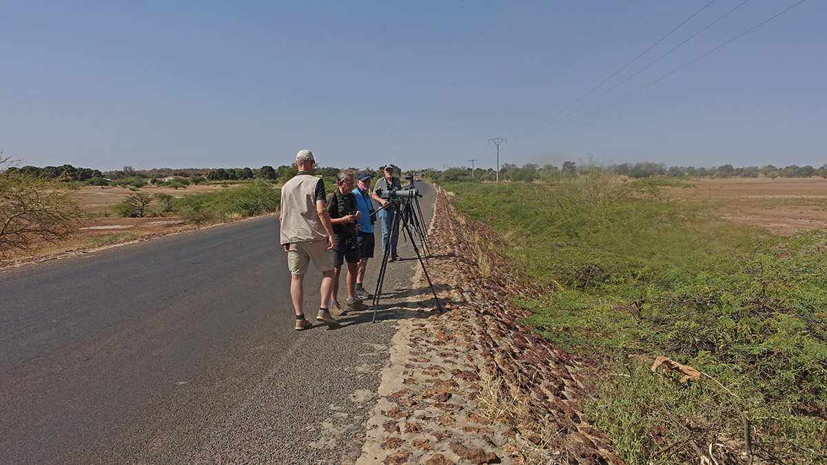 Hans in Gambia